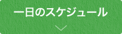 1日のスケジュール